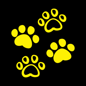 Cuenco comedero elevado